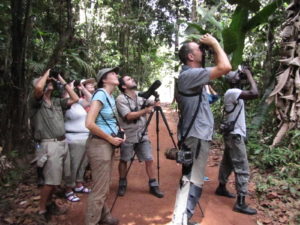 Birding at Atta Lodge