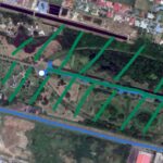 Bitanical-Garden-